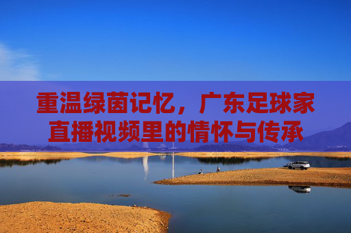 重温绿茵记忆,广东足球家直播视频里的情怀与传承