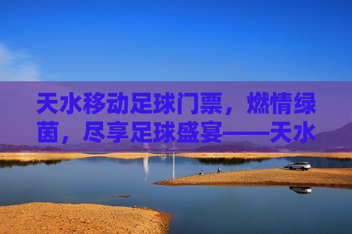 天水移动足球门票，燃情绿茵，尽享足球盛宴——天水移动助你轻松购票，共赴绿茵狂欢，天水移动足球门票，燃情绿茵，尽享足球盛宴——天水移动助你轻松购票，共赴绿茵狂欢