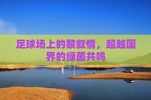 足球场上的黎叙情，超越国界的绿茵共鸣