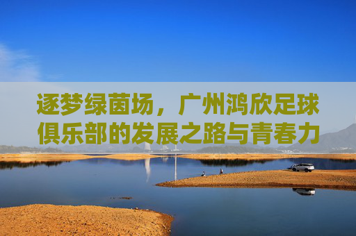逐梦绿茵场，广州鸿欣足球俱乐部的发展之路与青春力量，逐梦绿茵场，广州鸿欣足球俱乐部的发展之路与青春力量