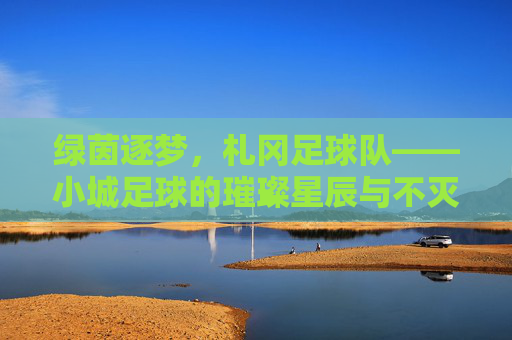 绿茵逐梦，札冈足球队——小城足球的璀璨星辰与不灭热情