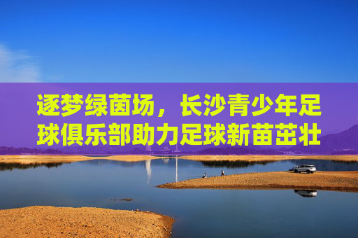 逐梦绿茵场，长沙青少年足球俱乐部助力足球新苗茁壮成长，逐梦绿茵场，长沙青少年足球俱乐部助力足球新苗茁壮成长