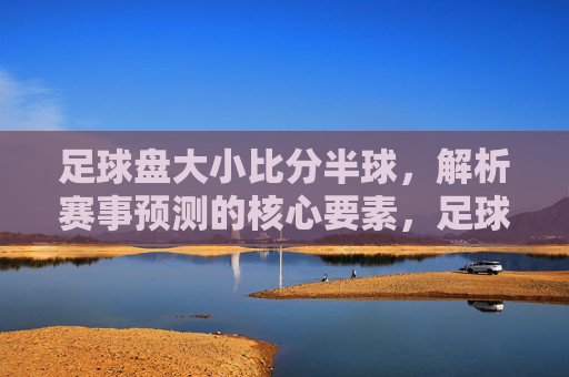 足球盘大小比分半球，解析赛事预测的核心要素，足球盘大小比分半球，解析赛事预测的核心要素