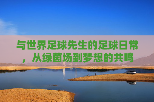 与世界足球先生的足球日常，从绿茵场到梦想的共鸣