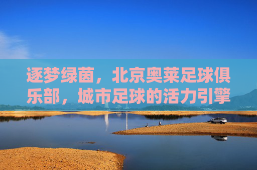 逐梦绿茵,北京奥莱足球俱乐部,城市足球的活力引擎与未来展望