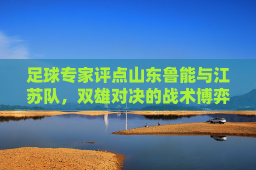 足球专家评点山东鲁能与江苏队,双雄对决的战术博弈与未来展望,足球专家评点山东鲁能与江苏队双雄对决,战术博弈与未来展望