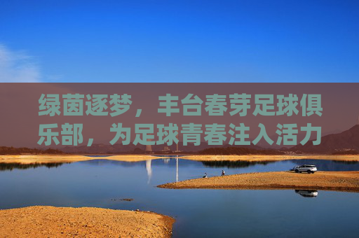绿茵逐梦,丰台春芽足球俱乐部,为足球青春注入活力,绿茵逐梦,丰台春芽足球俱乐部为足球青春注入活力