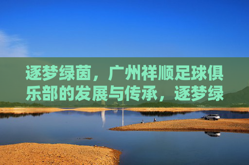逐梦绿茵,广州祥顺足球俱乐部的发展与传承,逐梦绿茵,广州祥顺足球俱乐部的发展与传承
