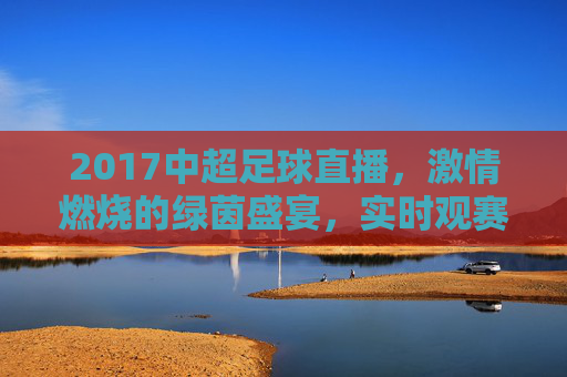 2017中超足球直播,激情燃烧的绿茵盛宴,实时观赛体验的完美呈现