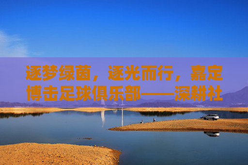 逐梦绿茵，逐光而行，嘉定博击足球俱乐部——深耕社区足球，绽放青春活力，逐梦绿茵，逐光而行，嘉定博击足球俱乐部，深耕社区足球，绽放青春活力
