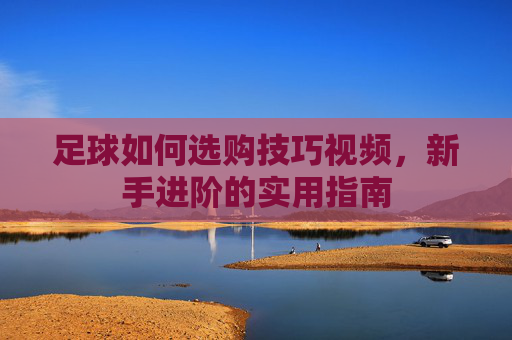足球如何选购技巧视频,新手进阶的实用指南