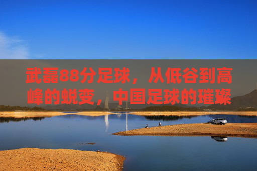武磊88分足球，从低谷到高峰的蜕变，中国足球的璀璨星辰，武磊，从低谷到高峰的足球蜕变，中国足球的璀璨星辰