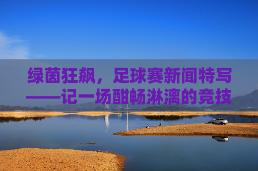 绿茵狂飙,足球赛新闻特写——记一场酣畅淋漓的竞技盛宴,绿茵狂飙,足球赛新闻特写——记一场酣畅淋漓的竞技盛宴