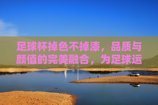 足球杯掉色不掉漆，品质与颜值的完美融合，为足球运动增添持久光彩