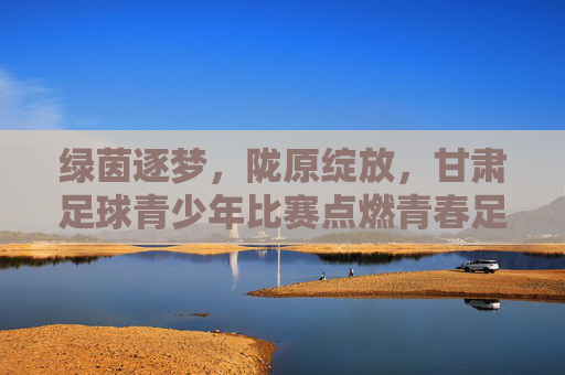 绿茵逐梦,陇原绽放,甘肃足球青少年比赛点燃青春足球活力