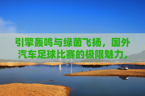 引擎轰鸣与绿茵飞扬,国外汽车足球比赛的极限魅力,引擎轰鸣与绿茵飞扬,国外汽车足球比赛的极限魅力