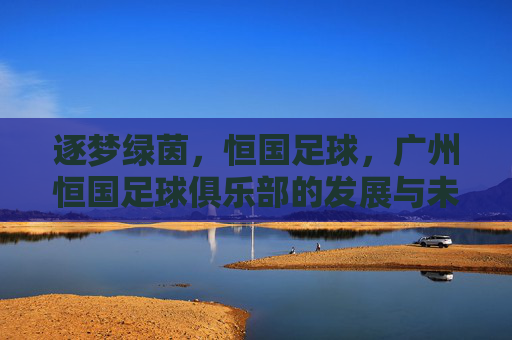 逐梦绿茵，恒国足球，广州恒国足球俱乐部的发展与未来展望，逐梦绿茵，广州恒国足球俱乐部的发展与未来展望
