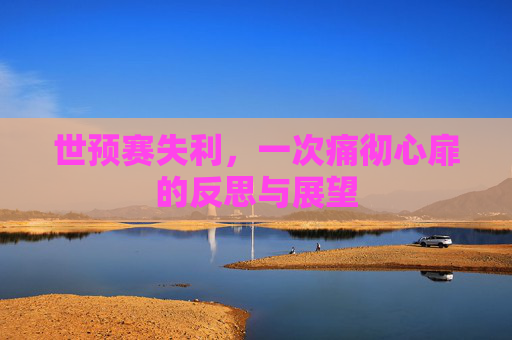 世预赛失利,一次痛彻心扉的反思与展望