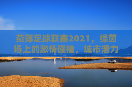 燕郊足球联赛2021,绿茵场上的激情碰撞,城市活力的新注脚