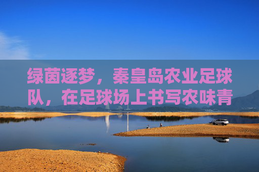 绿茵逐梦,秦皇岛农业足球队,在足球场上书写农味青春与团队荣光