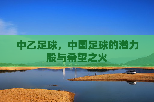 中乙足球,中国足球的潜力股与希望之火