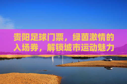 贵阳足球门票,绿茵激情的入场券,解锁城市运动魅力