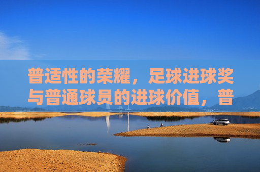 普适性的荣耀,足球进球奖与普通球员的进球价值,普适性荣耀,足球进球奖与普通球员的进球价值