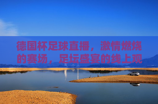 德国杯足球直播，激情燃烧的赛场，足坛盛宴的线上观赛指南