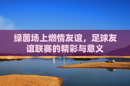 绿茵场上燃情友谊,足球友谊联赛的精彩与意义