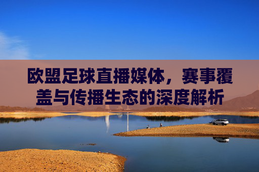 欧盟足球直播媒体,赛事覆盖与传播生态的深度解析