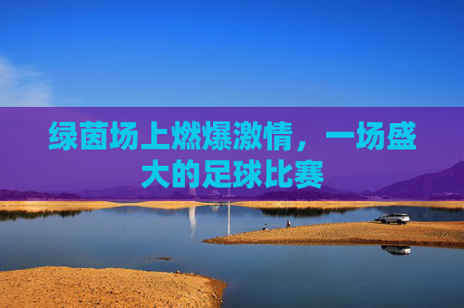 绿茵场上燃爆激情,一场盛大的足球比赛