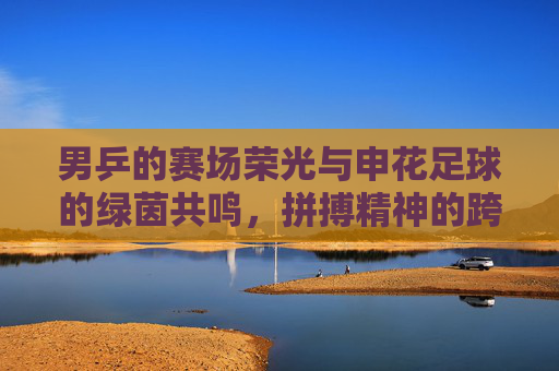 男乒的赛场荣光与申花足球的绿茵共鸣,拼搏精神的跨越边界传承