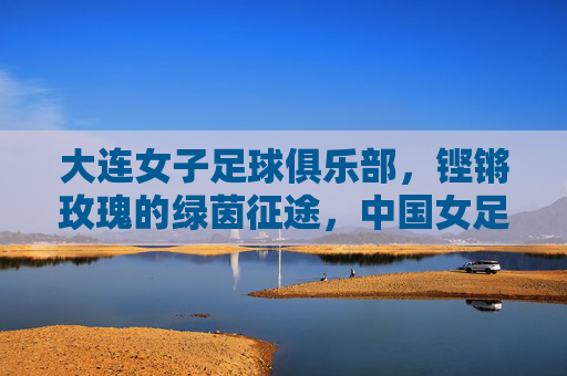 大连女子足球俱乐部,铿锵玫瑰的绿茵征途,中国女足的大连印记