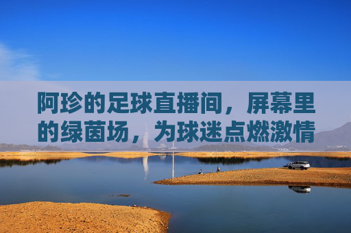 阿珍的足球直播间，屏幕里的绿茵场，为球迷点燃激情的解说活化石