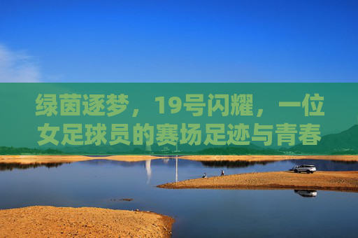 绿茵逐梦,19号闪耀,一位女足球员的赛场足迹与青春故事