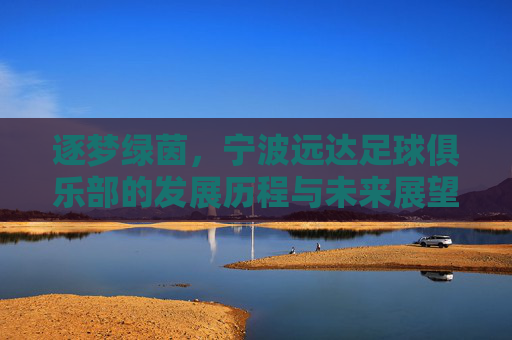 逐梦绿茵,宁波远达足球俱乐部的发展历程与未来展望