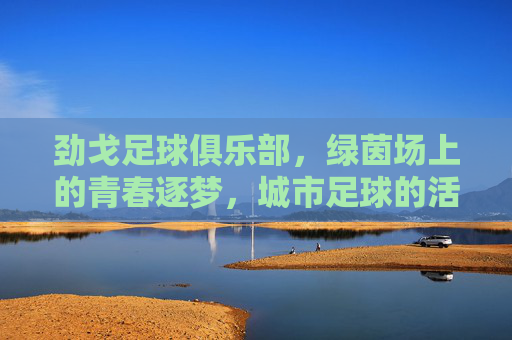 劲戈足球俱乐部,绿茵场上的青春逐梦,城市足球的活力脉搏