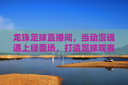 龙珠足球直播间,当动漫魂遇上绿茵场,打造足球观赛新体验