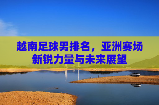 越南足球男排名,亚洲赛场新锐力量与未来展望