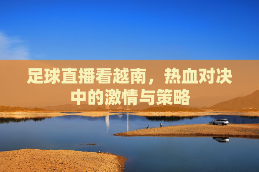 足球直播看越南，热血对决中的激情与策略