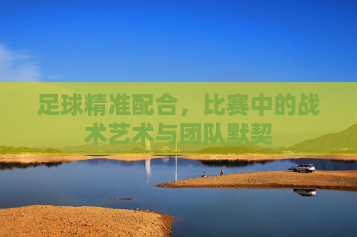 足球精准配合,比赛中的战术艺术与团队默契
