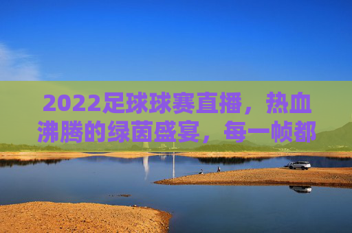 2022足球球赛直播,热血沸腾的绿茵盛宴,每一帧都值得珍藏
