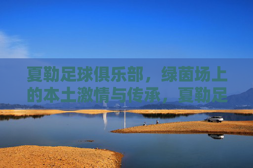 夏勒足球俱乐部,绿茵场上的本土激情与传承,夏勒足球俱乐部,绿茵场上的本土激情与传承