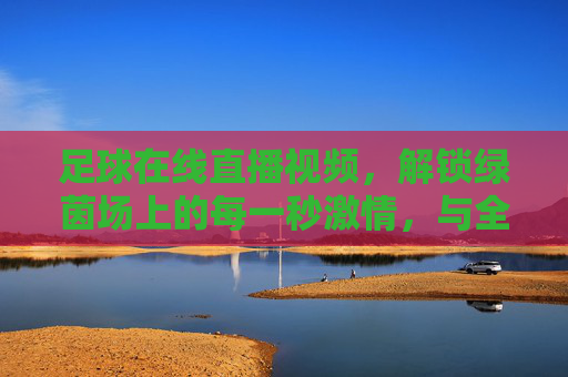 足球在线直播视频,解锁绿茵场上的每一秒激情,与全球球迷共赴足球盛宴