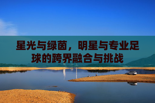 星光与绿茵,明星与专业足球的跨界融合与挑战