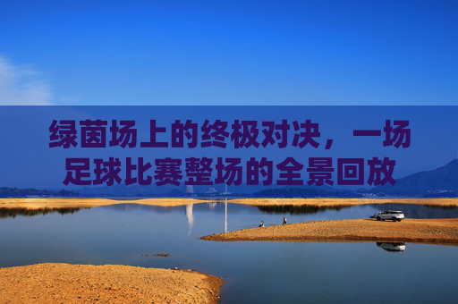 绿茵场上的终极对决,一场足球比赛整场的全景回放