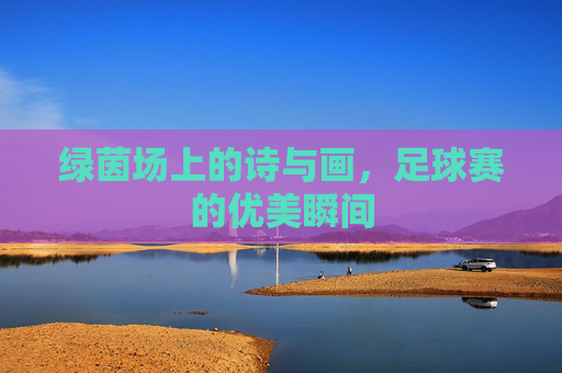 绿茵场上的诗与画，足球赛的优美瞬间