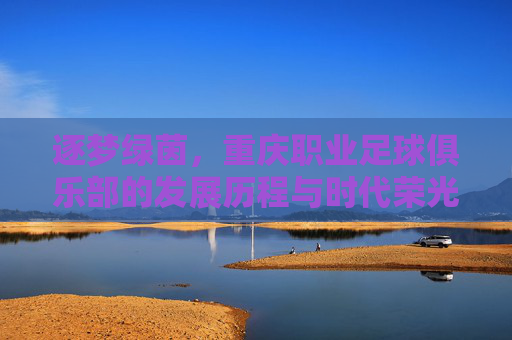 逐梦绿茵,重庆职业足球俱乐部的发展历程与时代荣光