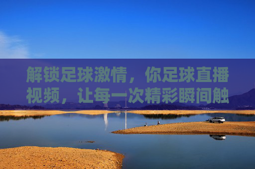 解锁足球激情，你足球直播视频，让每一次精彩瞬间触手可及，解锁足球激情，你的足球直播视频，让精彩瞬间触手可及