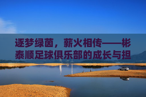 逐梦绿茵,薪火相传——彬泰顺足球俱乐部的成长与担当